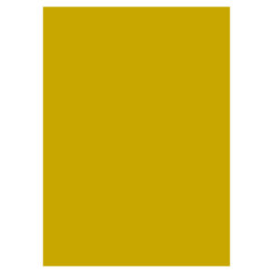Gold A4 (240 Gsm) (25)