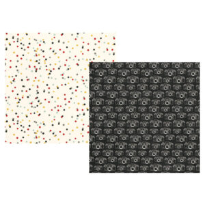 Simple Stories Smile, Click, Gotcha Packs Of 10 Sheets