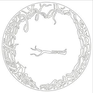 Card-io Woodland Hollow 6" Square Majemask Stencil