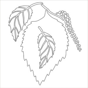 Card-io Birch Leaf 6" Square Majemask Stencil