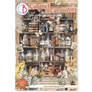 Cabinet of Curiosities Junk JournalEphemera Book A4 32/Pkg
