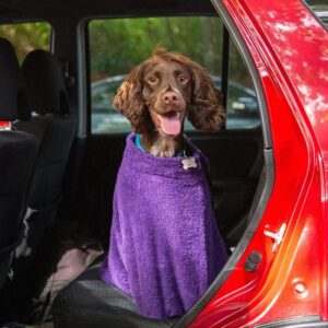 Dog Towel Bag With Adjustable Hook and Loop Neck | Duncan Stewart Dog Bag - Purple / Size 3