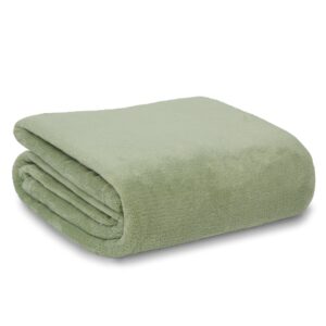 Personalised Luxury Camping Blanket - Duncan Stewart 1978 Apple / Tent