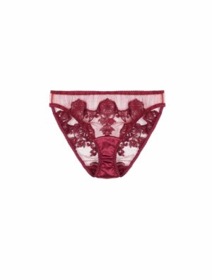 Gisele Embroidered Brief