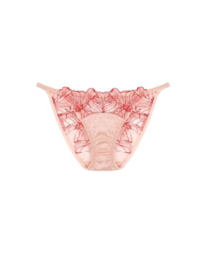 Rosa Ouvert Brief