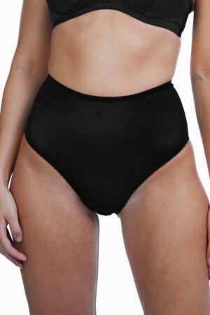 Mesh Classic Brief | UK 12 | Bettie Page Lingerie