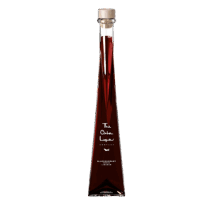Award Winning Blackcurrant Vodka 200ml - Triangular Bottle