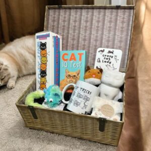 Purrfectly Pampered Cat Kit for Luxurious Feline Care