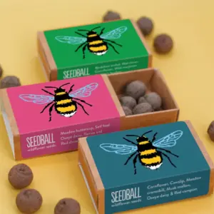 Bee Seedball Wildflower Box - Pink, Bee-Friendly Flowers