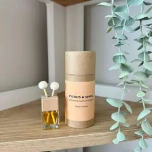 Luxury Scented Car Diffuser Citrus and Spice