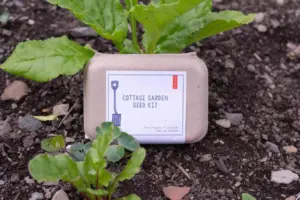 Cottage Garden Seed Kit - Start Your Eco-Friendly Garden