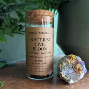 Wildflower Seed Bombs - Bloom Beautiful Wildflowers Effortlessly