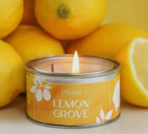 Lemon Grove Paint Pot Candle