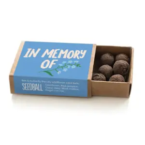 In Memory Of Seed Box: Perfect Memorabilia with 6 Seed Balls