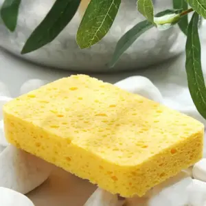 Reusable Compostable Sponge - Eco-Friendly Household Solution