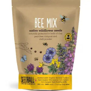 Seedball Wildflower Grab Bags - Wildlife Mix for Vibrant Gardens