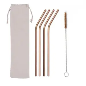Eco Friendly Reusable Stainless Steel Straws Set of 4