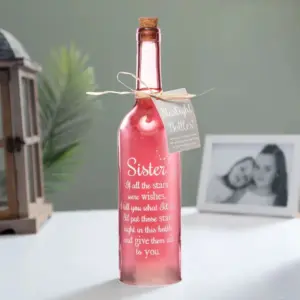 Sister Starlight Bottle Pretty Decorative LED Gift