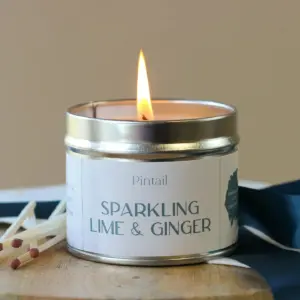 Sparkling Lime and Ginger Classic Tin Candle - Zesty Fragrance