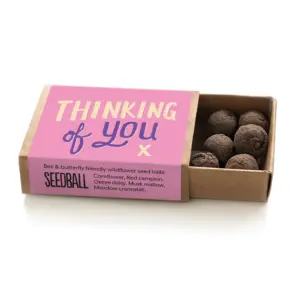 Thinking of You Seed Ball Box - Thoughtful Gift of Nature