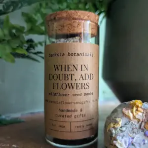 Wildflower Seed Bombs | Easy-to-Use & Eco-Friendly Blossoms