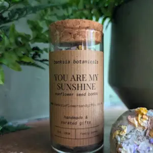 Sunflower Seed Bombs for Beautiful Wildflowers | Easy Gardening