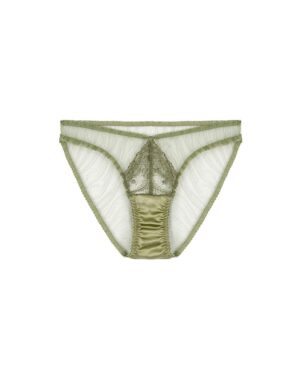 Arianna Embroidered Brief