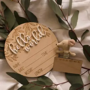 Hello World New Baby Birth Announcement Wooden Plaque