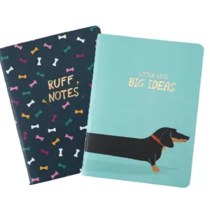 Big Ideas Notebook - Set of 2 for Notes & Sketches | Buy Now