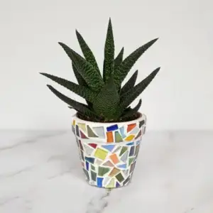 Mosaic Planter Craft Kit - Create Stunning Garden Decor