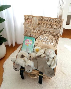 Baby Gift Box - Celebrate New Arrivals with Adorable Gifts