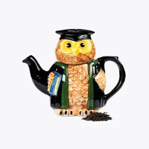 Handmade Owl Teapot - Perfect Gift for Exam Success