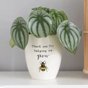 Thank You For Helping Me Grow Ceramic Plant Pot Gift