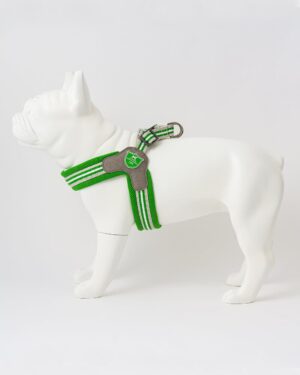 Easy Walk V Dog Harness - Green