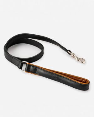 Padded Leather Dog Lead - Black and Brown