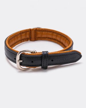 Padded Leather Dog Collar - Black and Brown