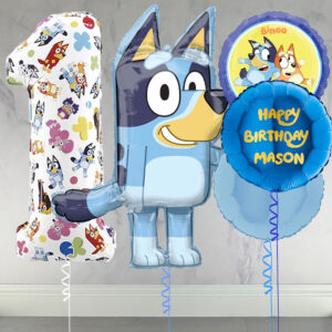 Bluey & Bingo Inflated Number Balloon Package