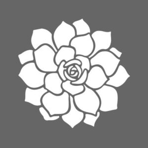 DecoArt Succulent Stencil