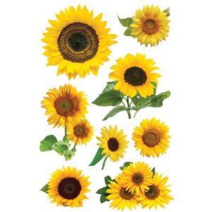 Paper House Productions Sunflowers - Sticker - 3d