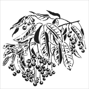 The Crafters Workshop 12x12 Stencil Sweet Berries