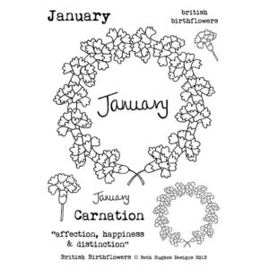 Photocentric Beth Hughes British Birth Flowers January