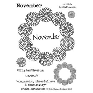 Photocentric Beth Hughes British Birth Flowers November