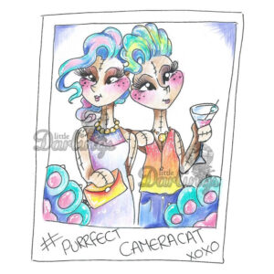 Photocentric Tweets Camera Cat