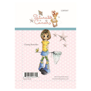 Photocentric Chasing Butterflies