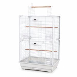 High Perch Tall Top-Opening Bird Cage with Twin Perches | Little Friends