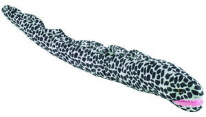 PetJes 990937 Ocean Friends Honeycomb Moray Eel Plush Soft Toy